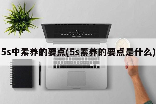 5s中素养的要点(5s素养的要点是什么)